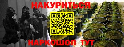 гидра Пыть-Ях