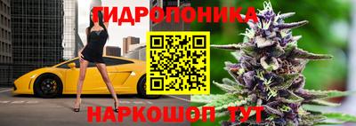 мдпв Пушкино